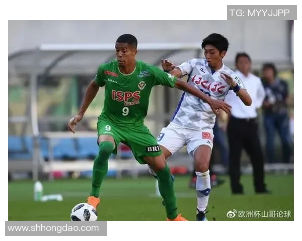 町田泽维与甲府风林欧赔对比分析及比赛前瞻